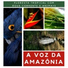 Ana Laura Custódio Paraíso