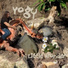 The Yogy
