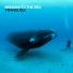 Mission To The Sea