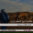 Groupe Hamdawa, Maitre zozo