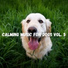 Lillo Dog Robwer