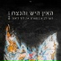 רועי לביא feat. דוד ד'אור