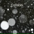 Collaboi