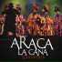Araca la Cana