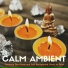Ambient Music Collective