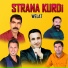 Strana Kurdi