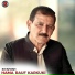 Hama Rauf Karkuki