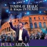 Tomislav Bralić, Klapa Intrade