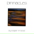 Edgar Froese (Pinnacles-1983)