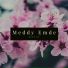 Meddy Emde