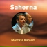 Mostafa Kareem