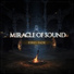 Miracle Of Sound