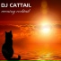 DJ Cattail
