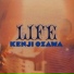 Kenji Ozawa (小沢健二)