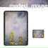 modest mouse