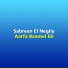 Sabreen El Negily