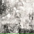 Toc