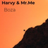 Harvy feat. Mr. Me
