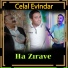 Celal Evindar