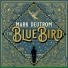 Mark Deutrom