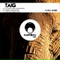 Taig