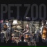 Pet Zoo