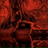 Leper