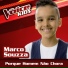 Marco Souzza
