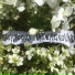 Righteous Underground