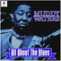 Muddy Waters mp3up.org