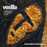 Ensemble Calixtinus