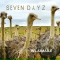 Seven Dayz