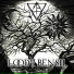 Loody Bensh