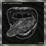 John H, Tobias Patterns-On