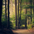 Wellness, Water Spa, Buddhist Meditation Music Set