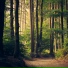 Wellness, Water Spa, Buddhist Meditation Music Set