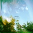 gnash, Imad Royal