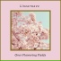 Linearwave