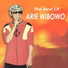 Arie Wibowo