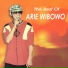 Arie Wibowo