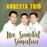 Andesta Trio