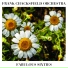 Frank Chacksfield Orchestra