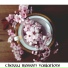 Moulton Berlin Orchestra