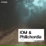 IOM, Philichordia