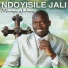 Ndoyisile Jali
