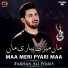 Farhan Ali Waris