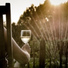 Ambient Rain, Kings of Nature, Classical Lullabies
