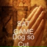 SAT GAME