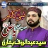 Syed Abdul Rauf Bukhari