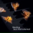 Relaxing Instrumental Music